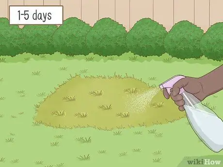 Нанесите Diatomaceous Earth Step 1