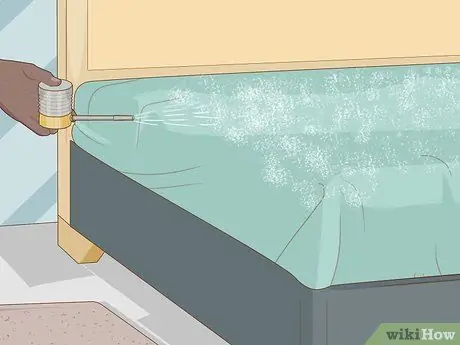 Нанесите Diatomaceous Earth Step 12