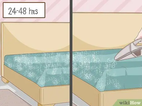 Нанесите Diatomaceous Earth Step 14