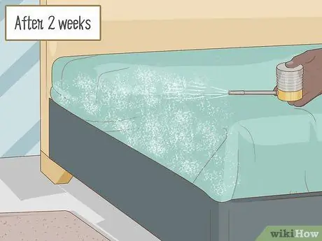 Нанесите Diatomaceous Earth Step 15