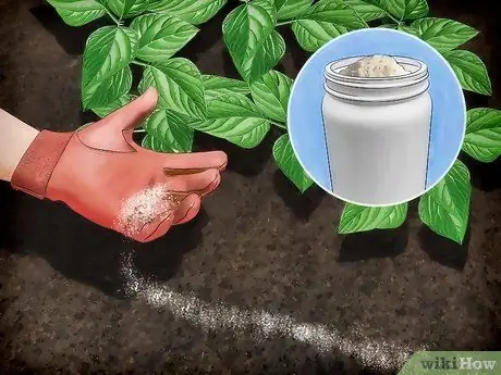 Избавьтесь от садовых слизней, шаг 9