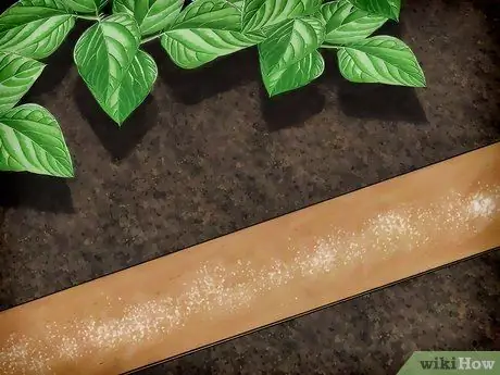 Избавьтесь от садовых слизней, шаг 11