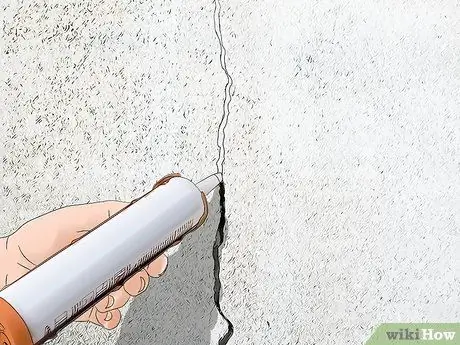 Естественное сдерживание скорпионов, шаг 4