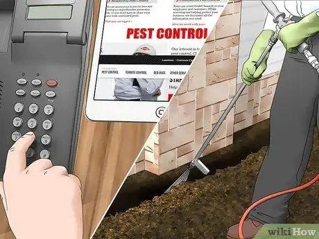Естественно сдерживать скорпионов Шаг 7