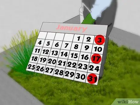 Избавиться от лисихвостов, шаг 2