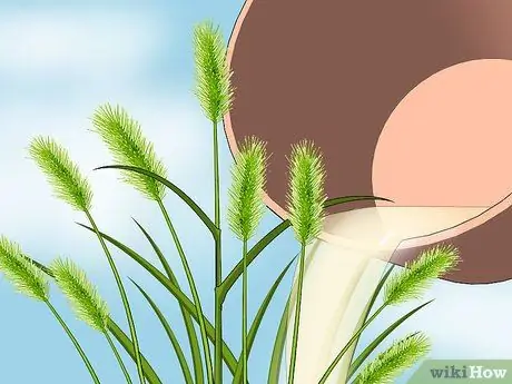 Избавиться от лисихвостов, шаг 7