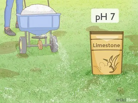 Удаление мха Шаг 5