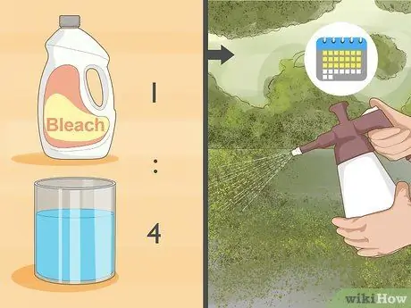 Удаление мха Шаг 7