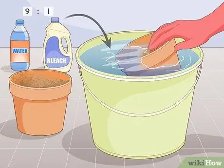 Избегайте мучнистых червецов Шаг 6