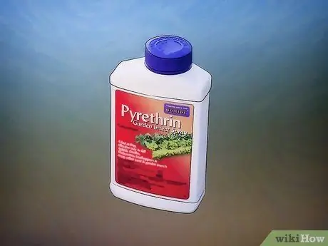 Избавиться от гусениц Шаг 6