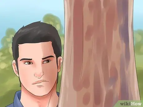 Убить английский плющ, шаг 4