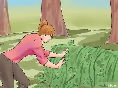 Убить английский плющ, шаг 9