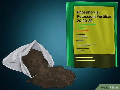 Выращивание призрачного перца Шаг 16
