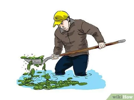 Удаление подушечек кувшинок Шаг 4