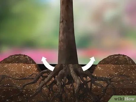 Удаление дерева Шаг 13