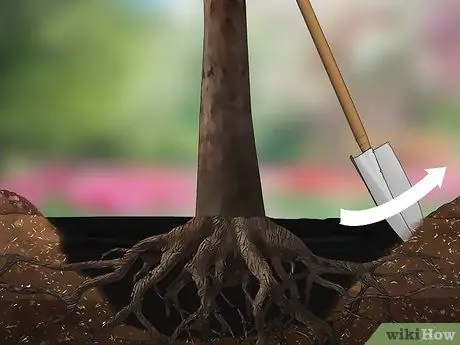 Удаление дерева Шаг 14