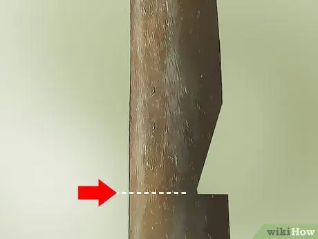 Удаление дерева Шаг 6