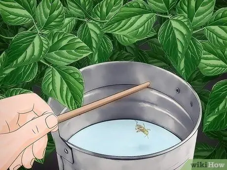 Избавиться от кузнечиков, шаг 3