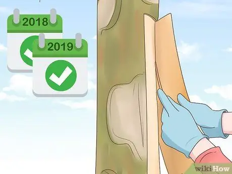 Выращивание корицы Шаг 16