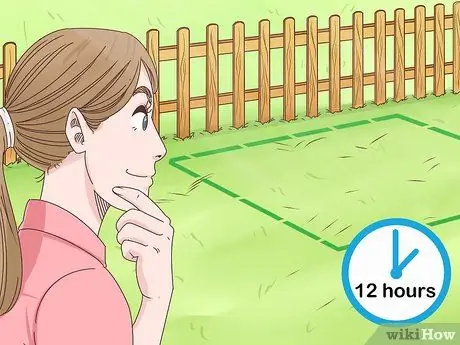 Выращивание корицы, шаг 2