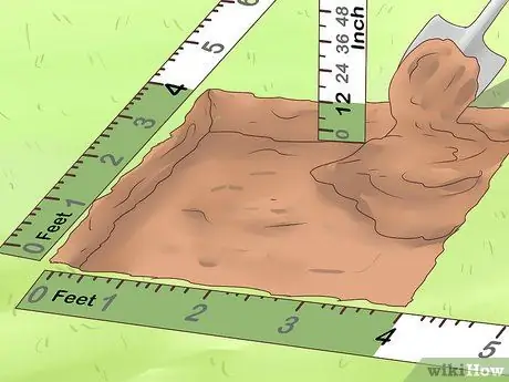 Выращивание корицы Шаг 6