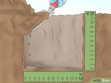 Выращивание корицы Шаг 7