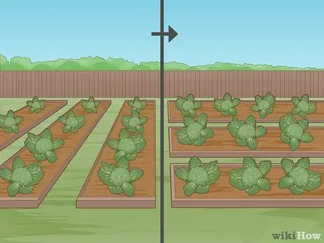 Не допускайте крыс в огород Шаг 11