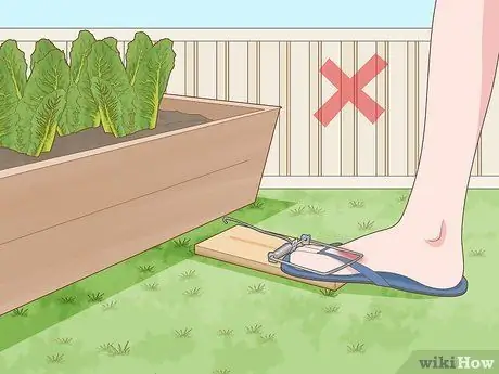 Не допускайте крыс в огород, шаг 16