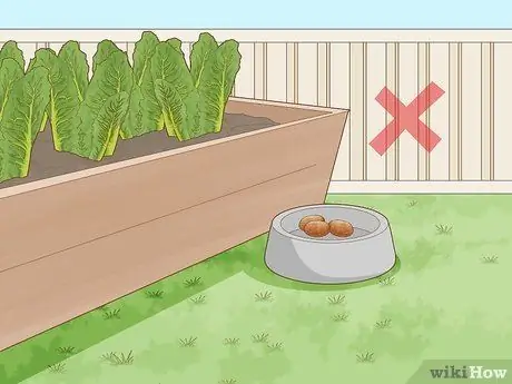 Не допускайте крыс в огород Шаг 6