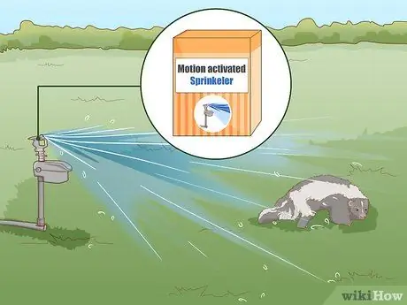 Deter Skunks Шаг 14