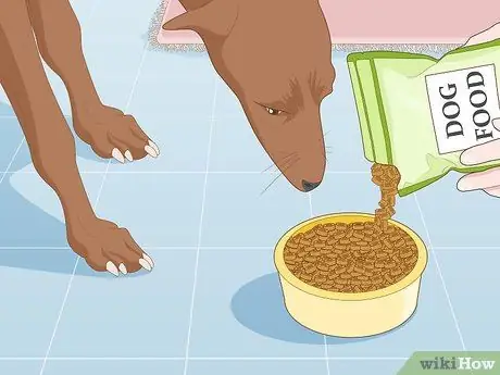 Deter Skunks, шаг 2