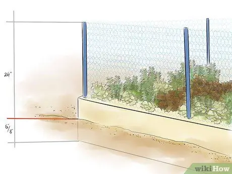 Избавиться от кроликов Шаг 6