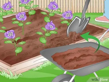 Убить Портулак, шаг 10