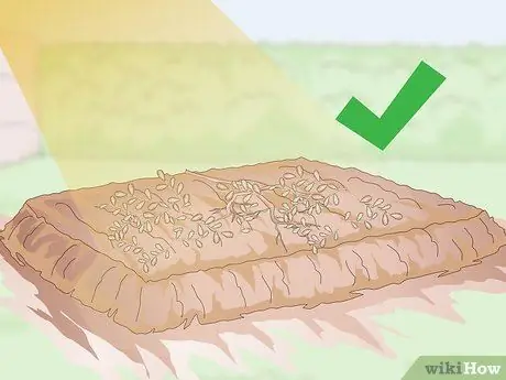 Убить Портулак, шаг 3