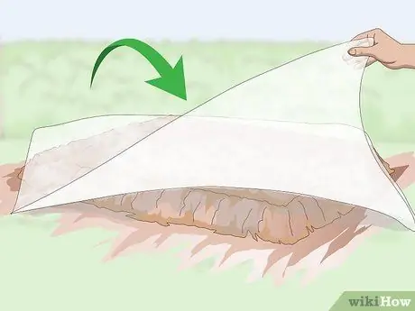 Убить Портулак, шаг 4