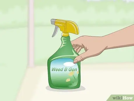 Убить Портулак, шаг 5