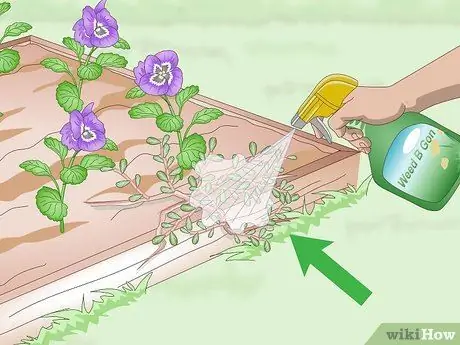 Убить Портулак, шаг 7