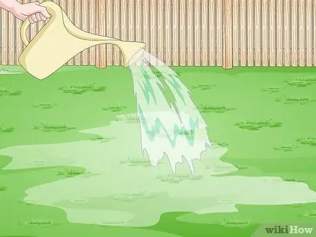 Убить Портулак, шаг 8