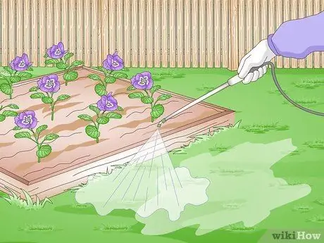 Убить Портулак, шаг 9