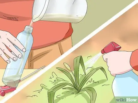 Убить сорняков Шаг 6