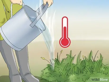 Убить сорняков Шаг 8