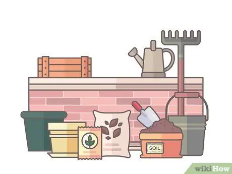 Создание сада на крыше Шаг 12