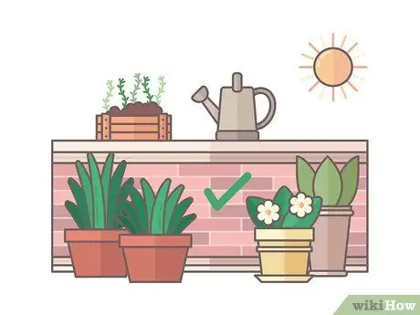 Создание сада на крыше Шаг 6