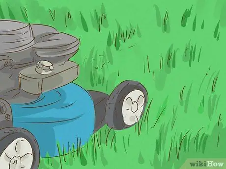 Убить бермудскую траву, шаг 10