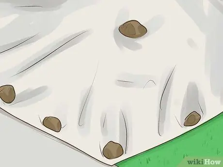 Убить бермудскую траву, шаг 12