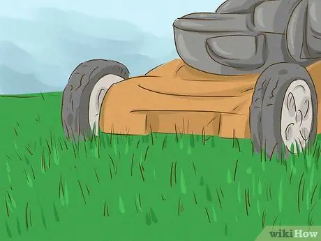 Убить бермудскую траву, шаг 14