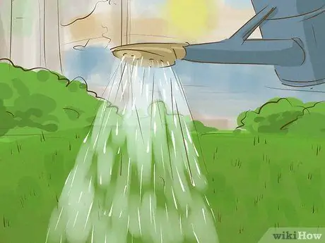 Убить бермудскую траву, шаг 18