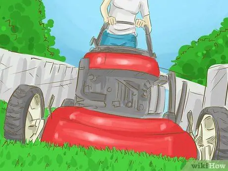 Убить бермудскую траву, шаг 5