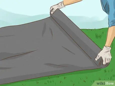 Убить бермудскую траву, шаг 6