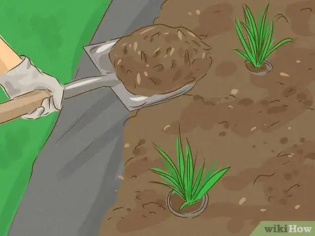 Убить бермудскую траву, шаг 8